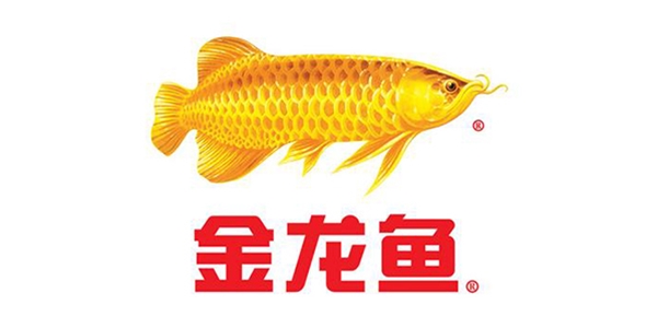 永坤減速機廠家客戶見證之金龍魚食用油全自動生產線